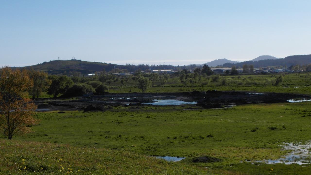 Humedales en el Gran Concepción