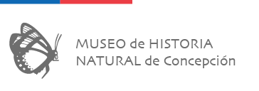 Museo de Historia Natural de Concepción