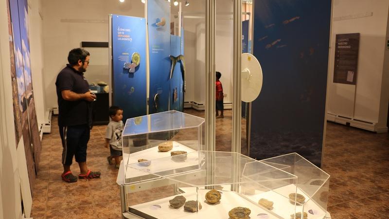 Público visita la muestra de fósiles