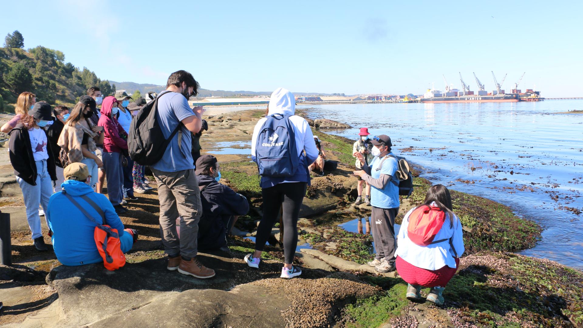 Taller "Cuando baja la marea" - observando