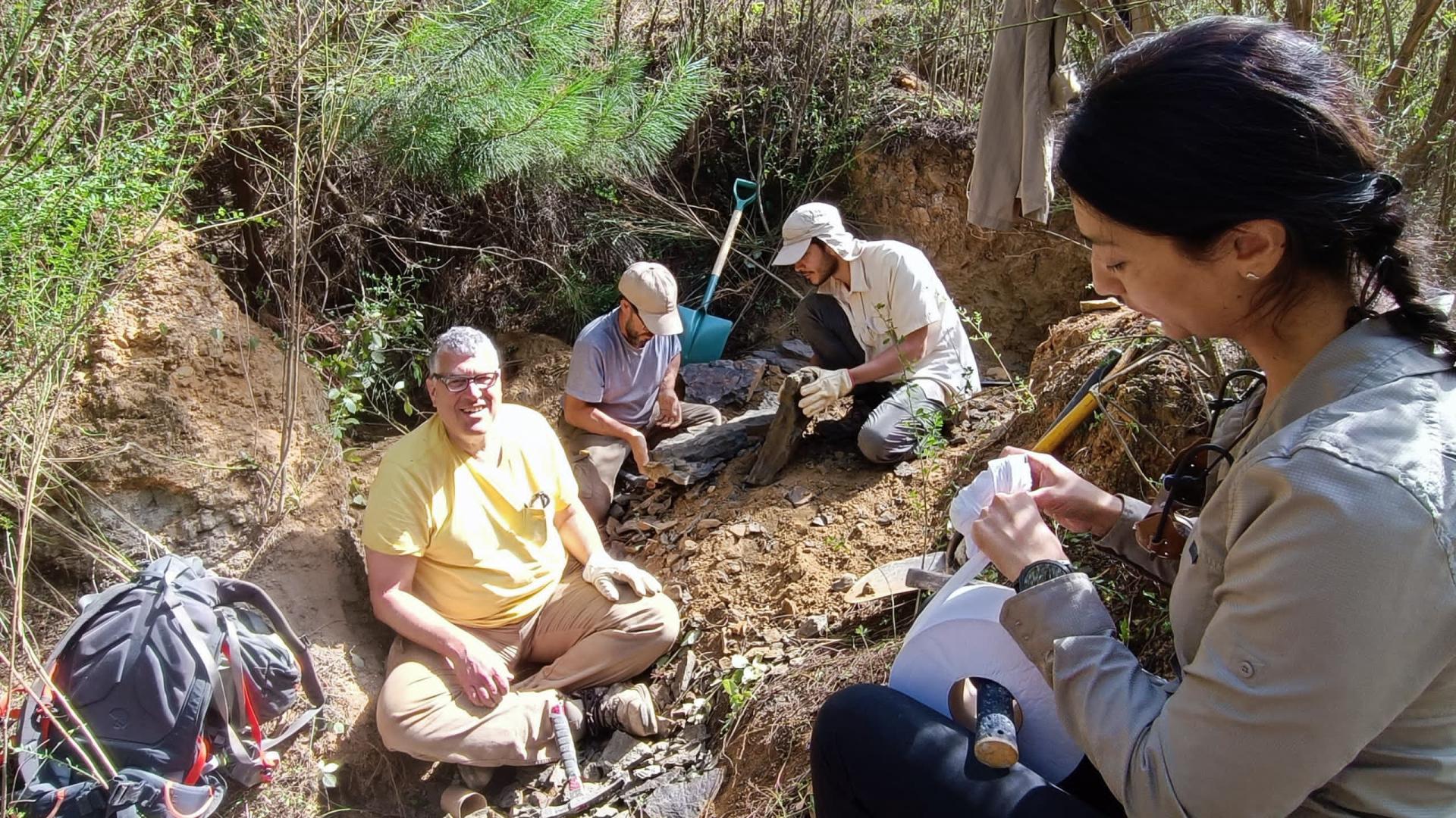 En excavación