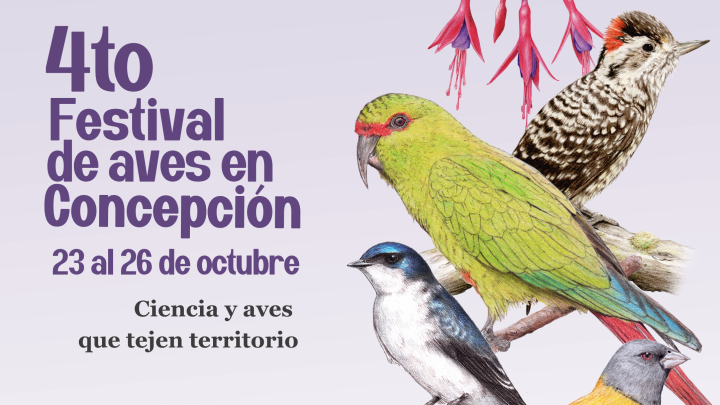 Afiche convocatoria mes 