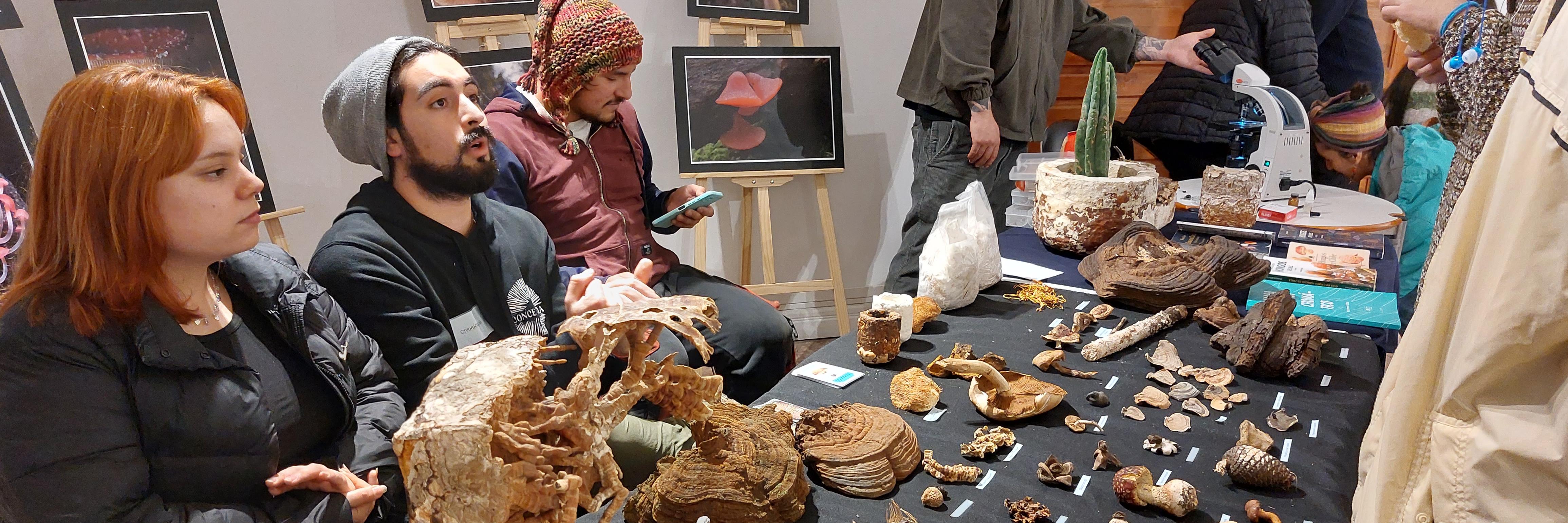 Festival Fungi Concepción en el Museo