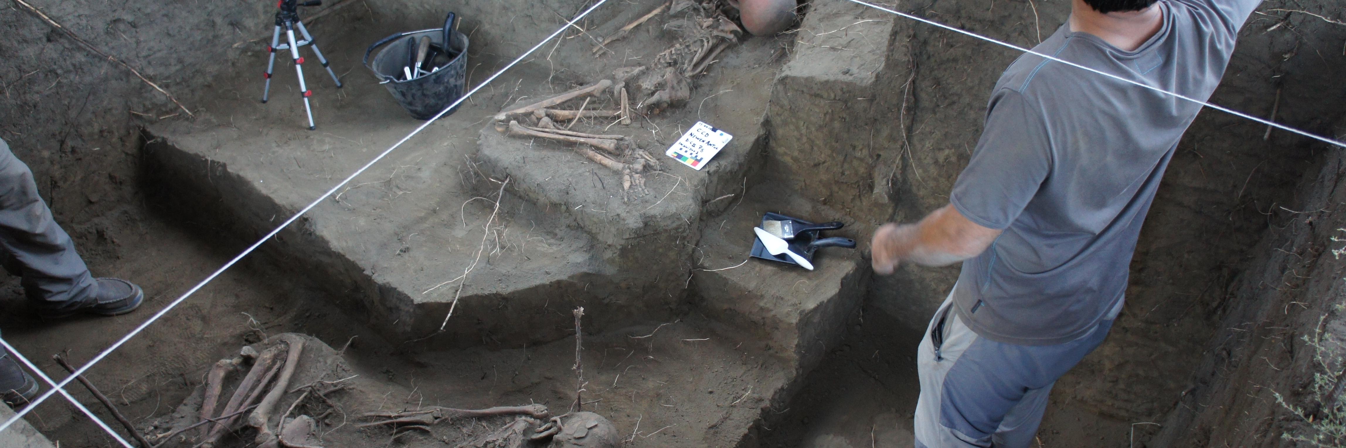 Fotografía de la excavación