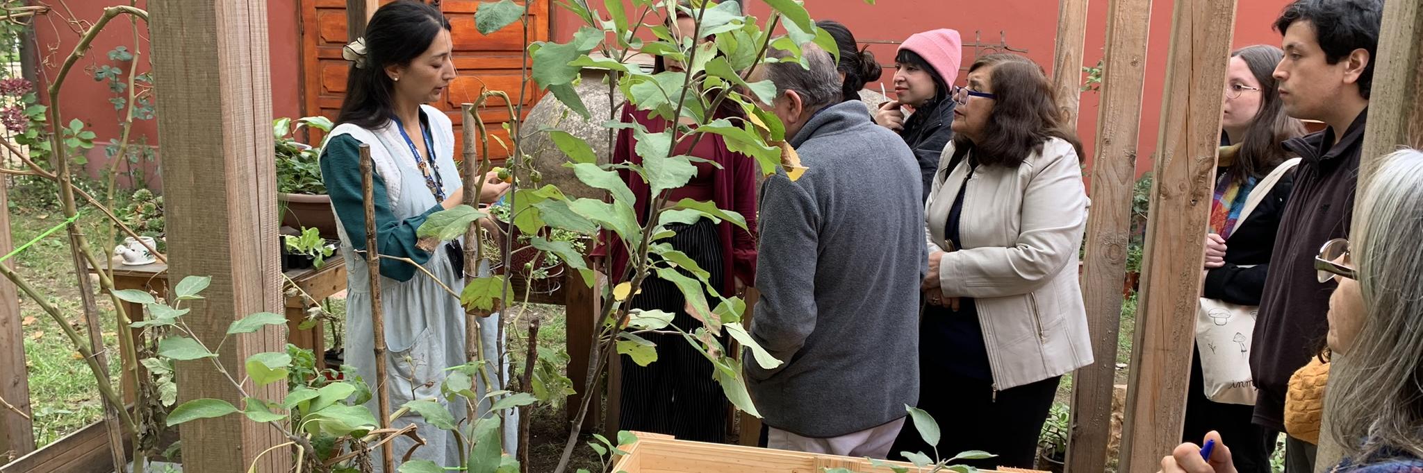 huerta