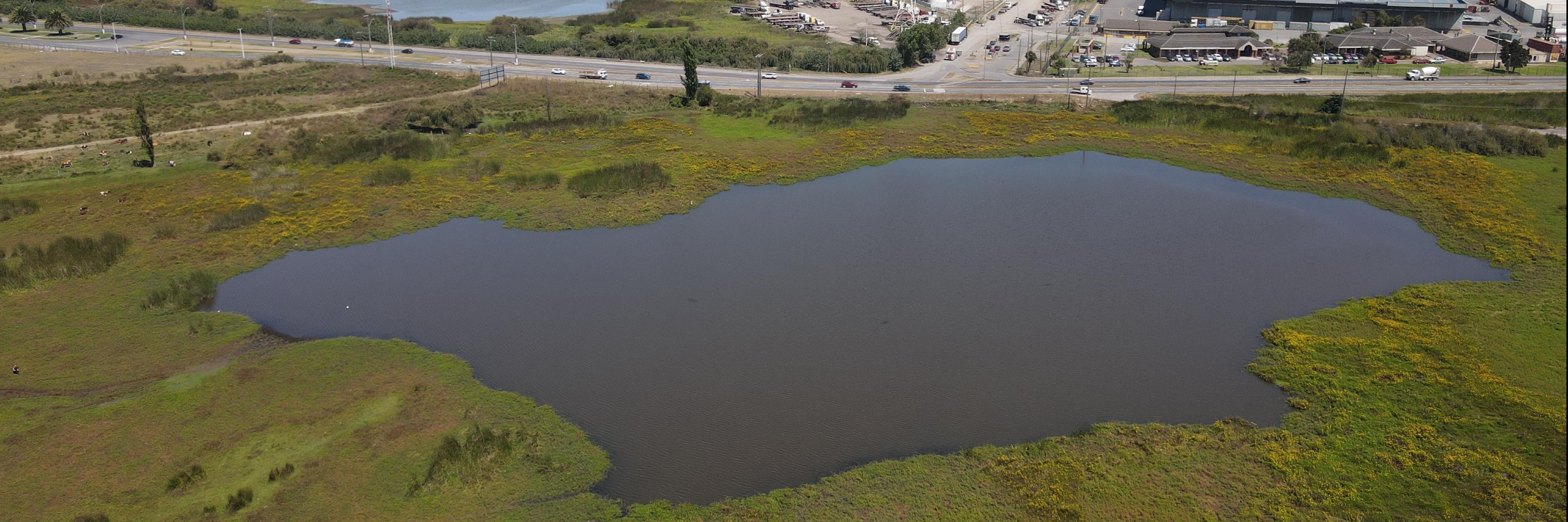 Humedal Andalién Rocuant