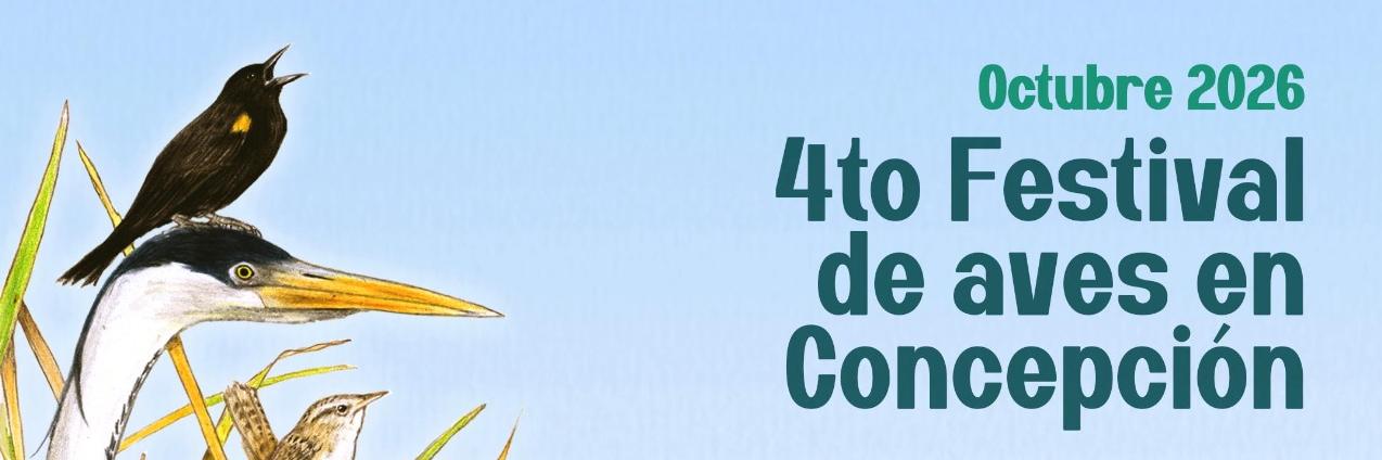 Afiche central del festival de aves