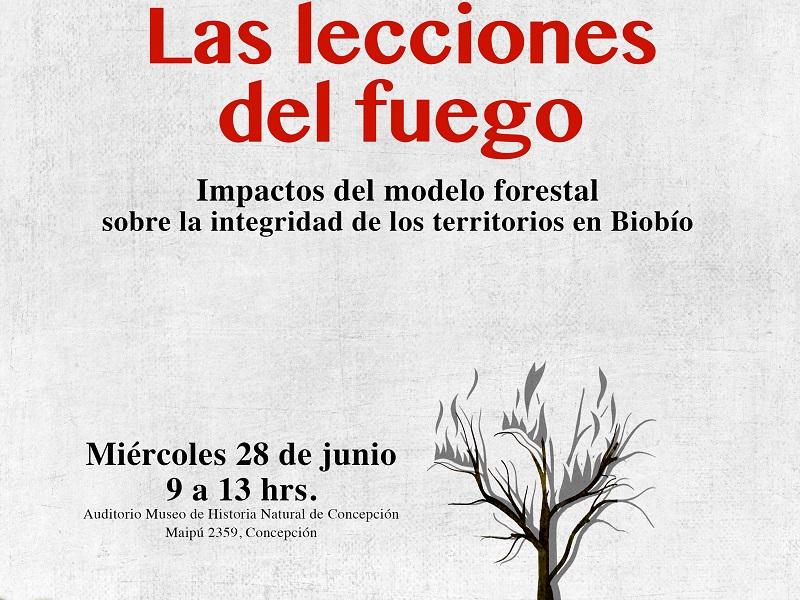 Las Lecciones del Fuego