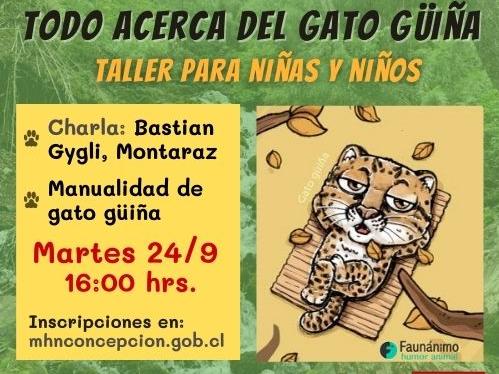 Afiche Taller del gato güiña