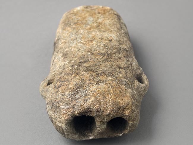 Piloilo de dos tubos