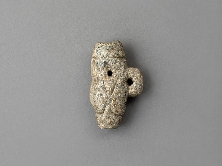 Pivulka pequeña