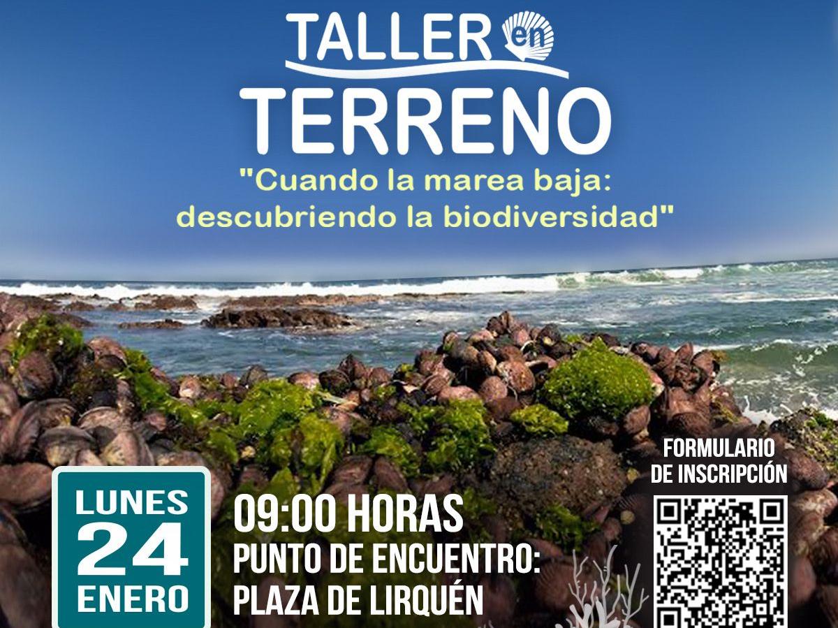 Afiche de actividad en terreno