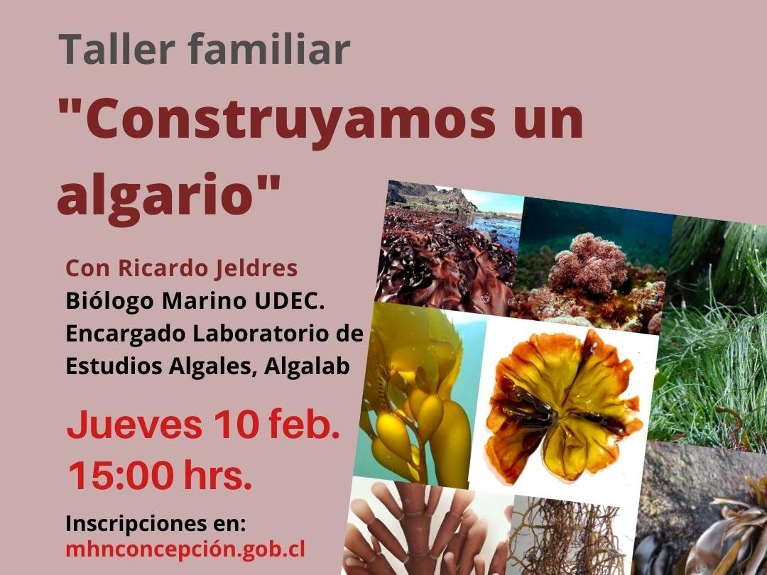 Afiche del taller de algario