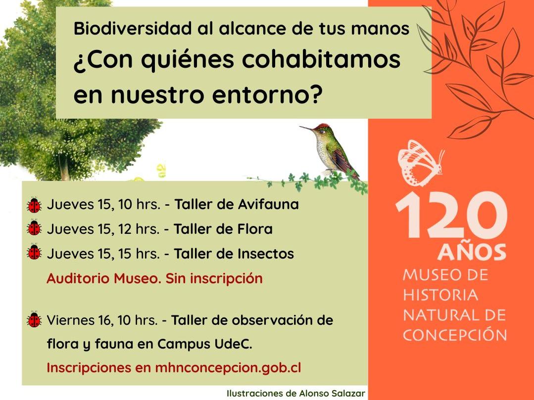 Afiche del evento