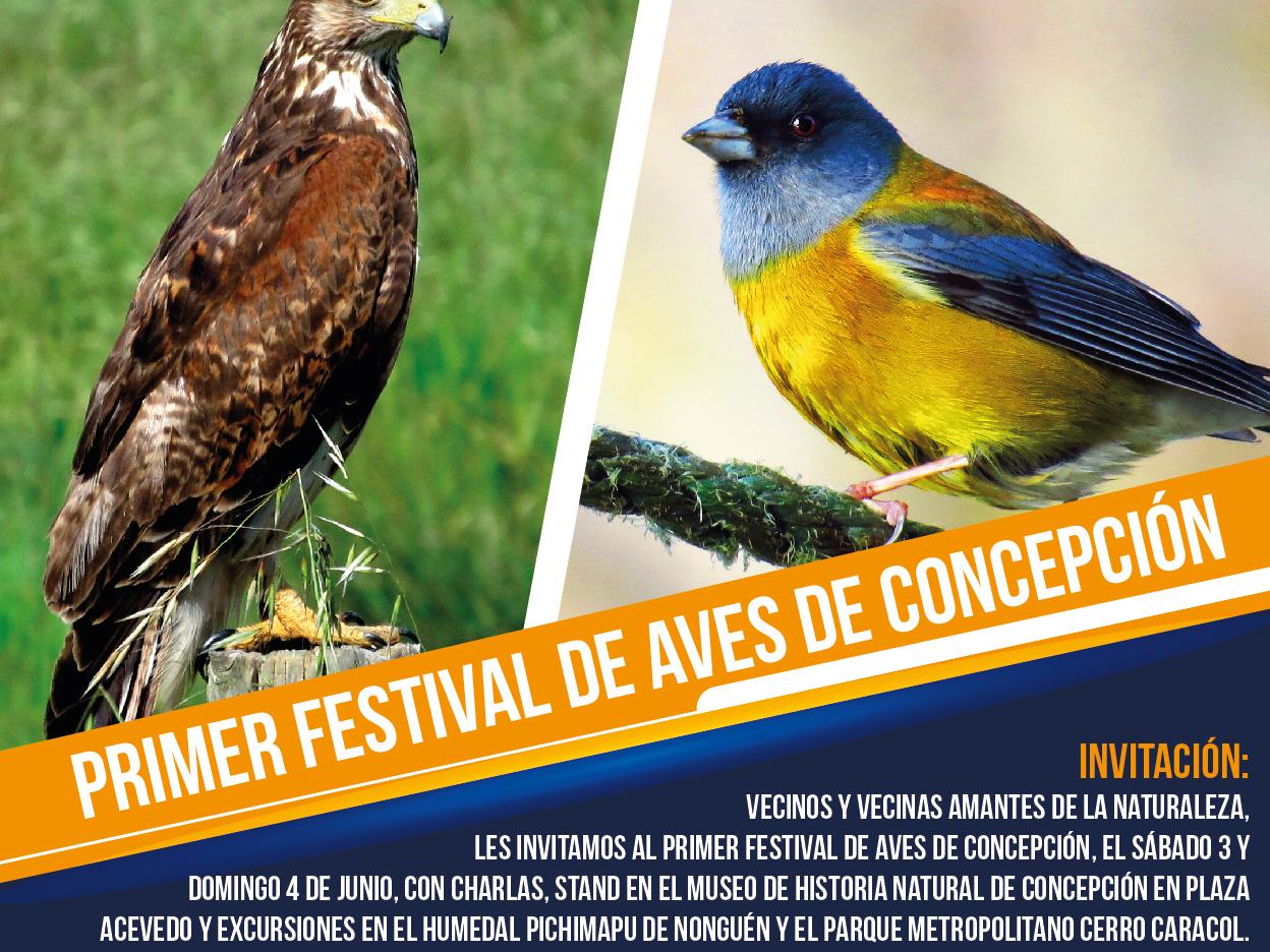 Afiche de festival de aves