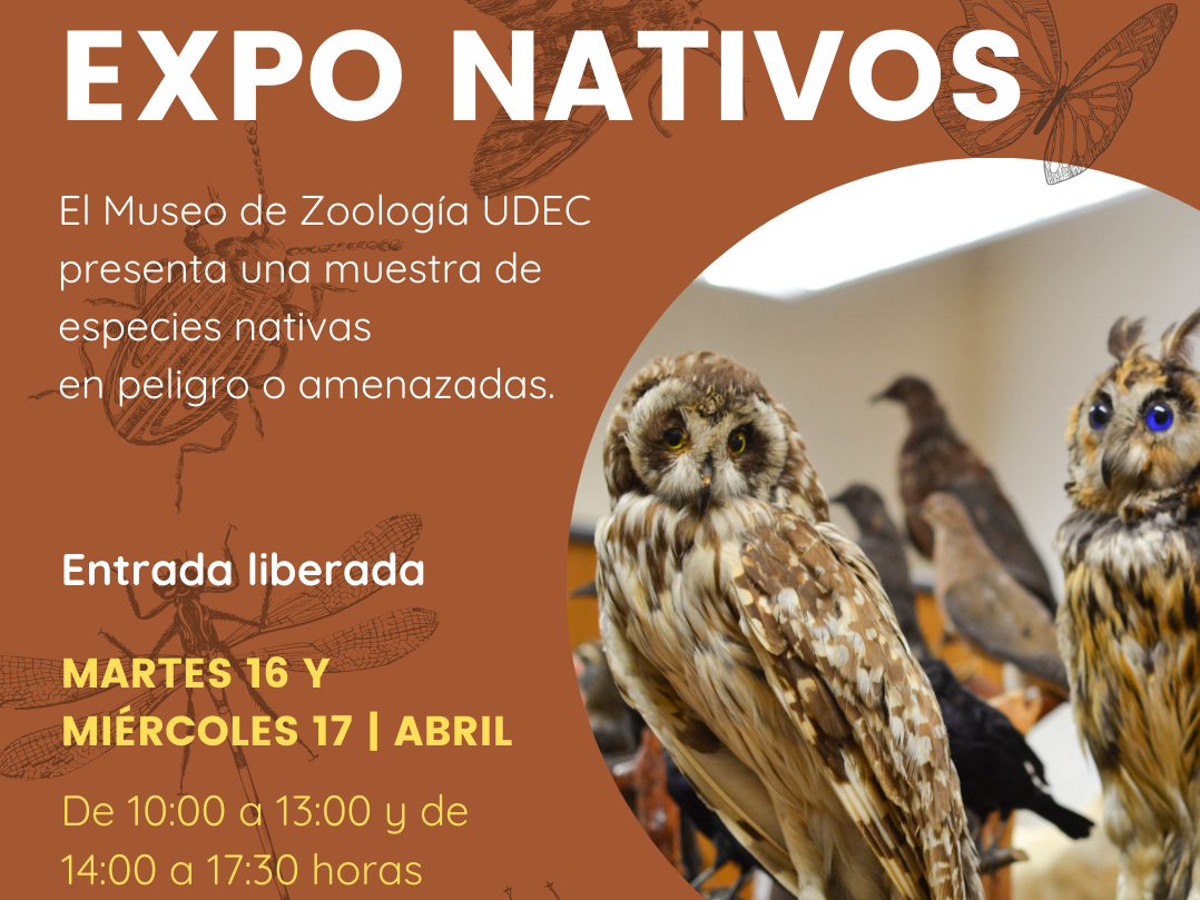 Afiche de la expo