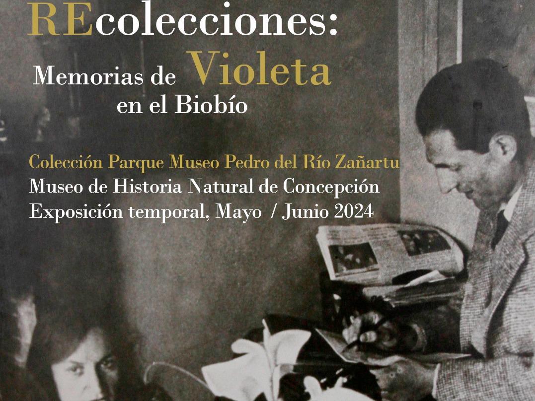 Afiche Muestra Violeta