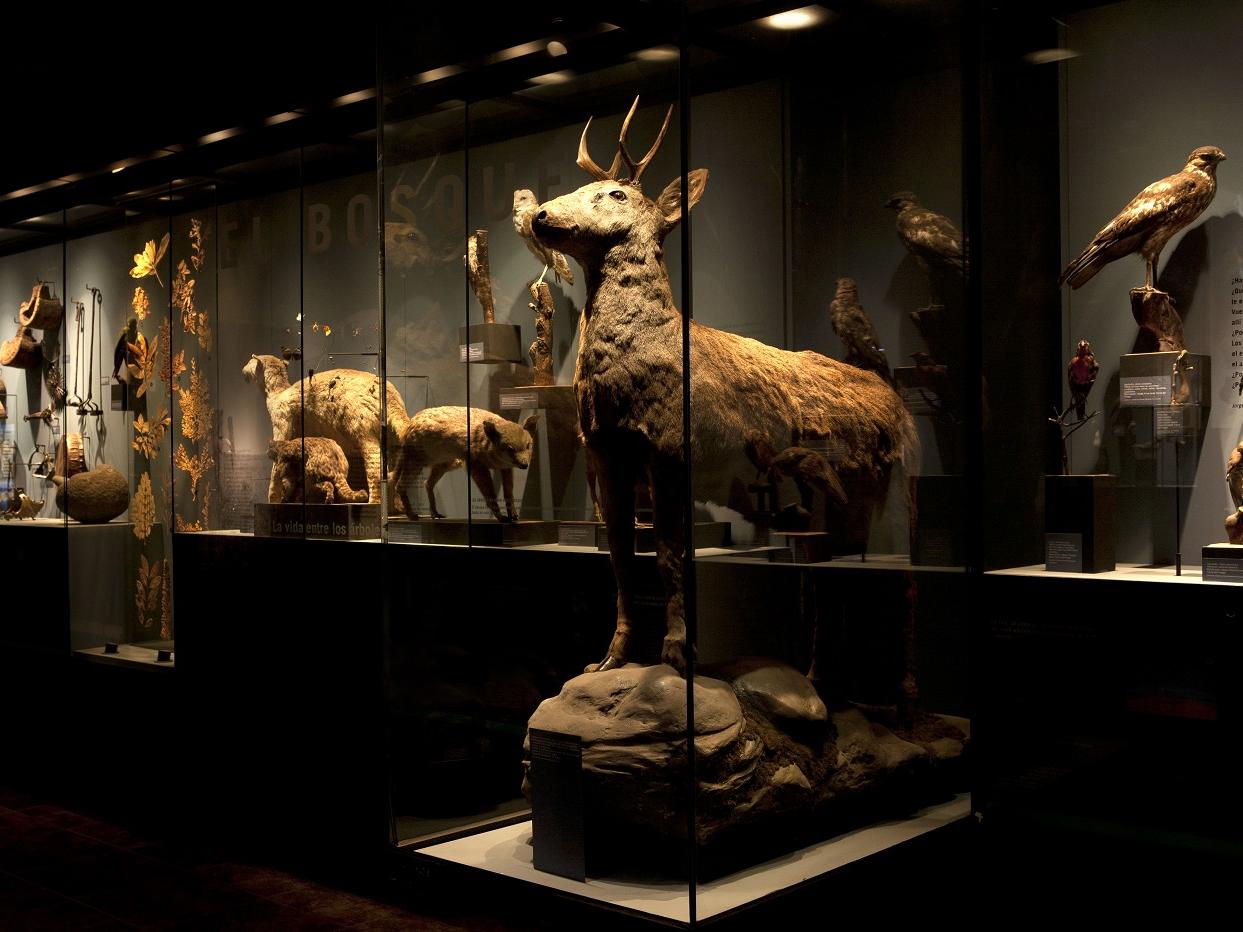 huemul