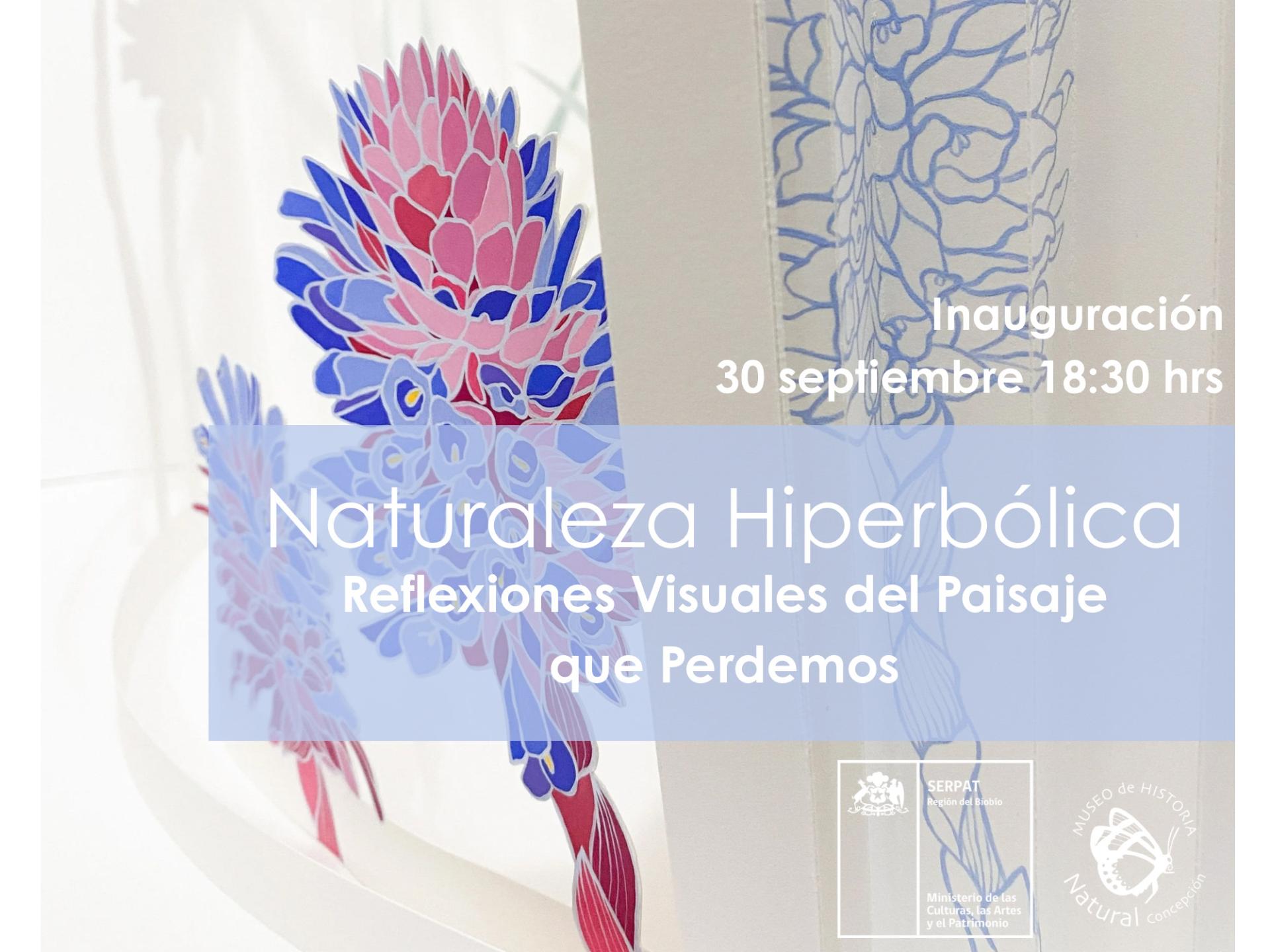 afiche naturaleza hiperbólica