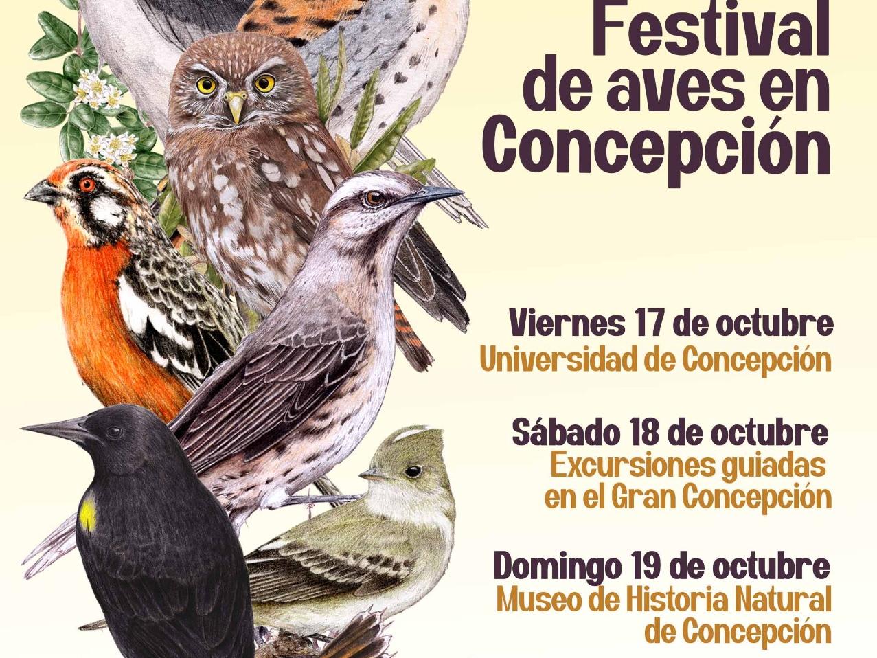 afiche festival aves 