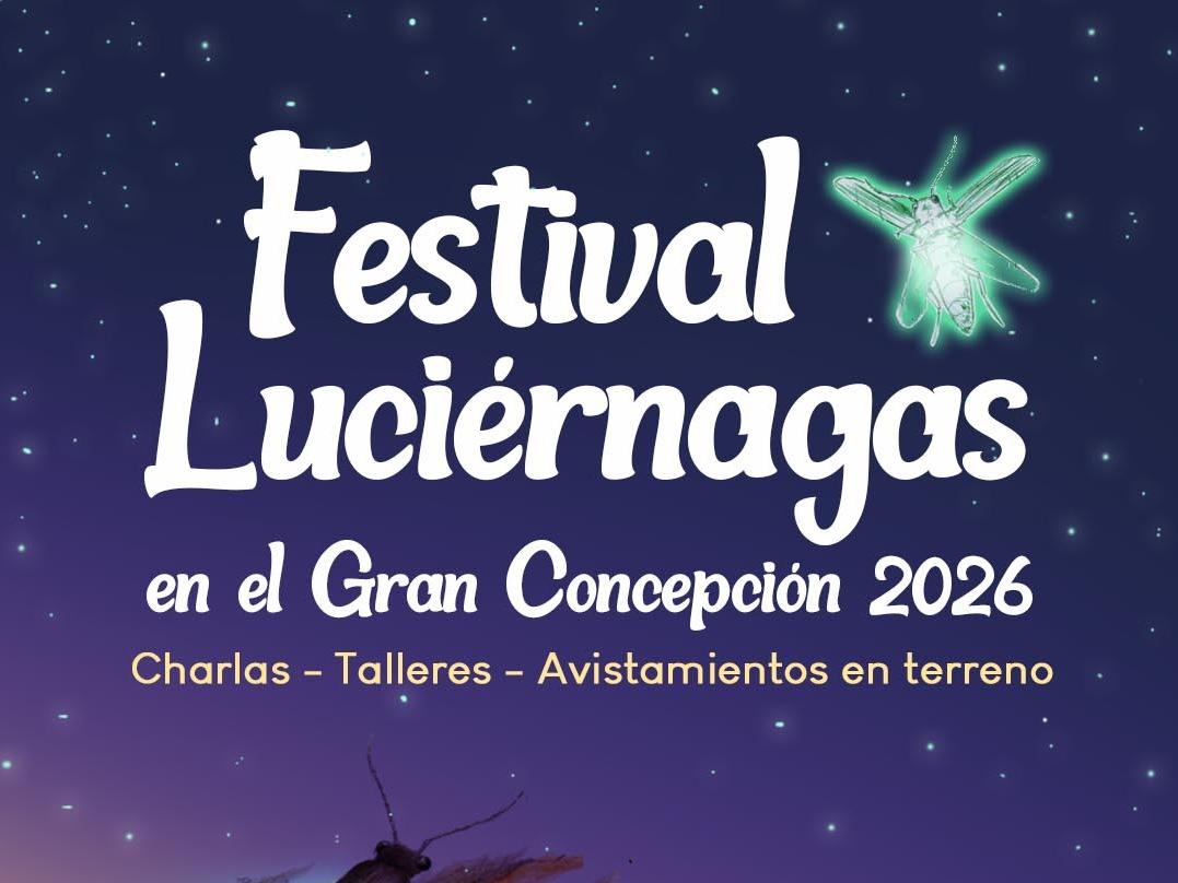 Afiche luciérnagas