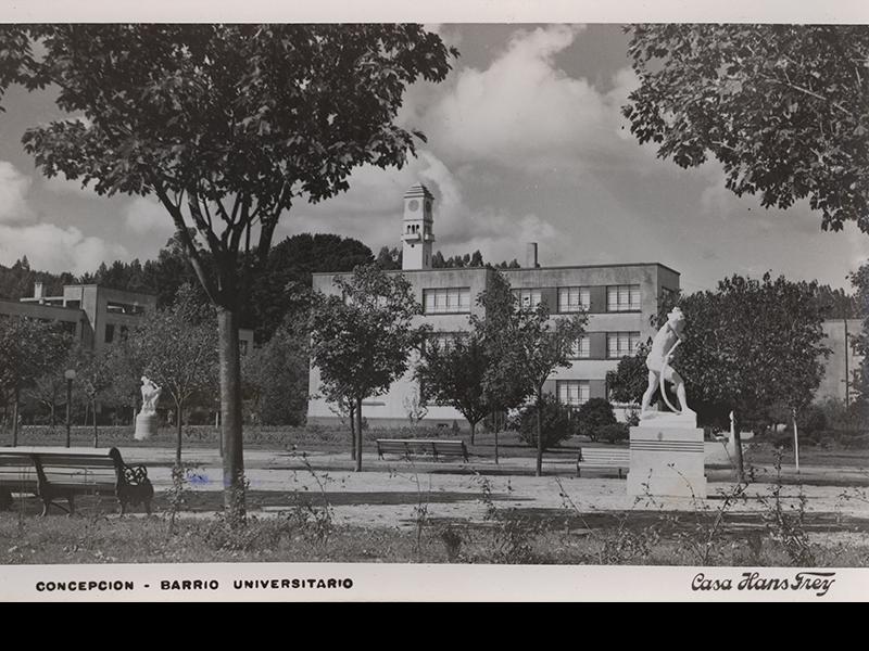 Barrio Universitario