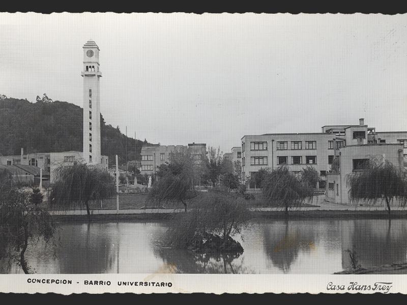 Laguna de los patos