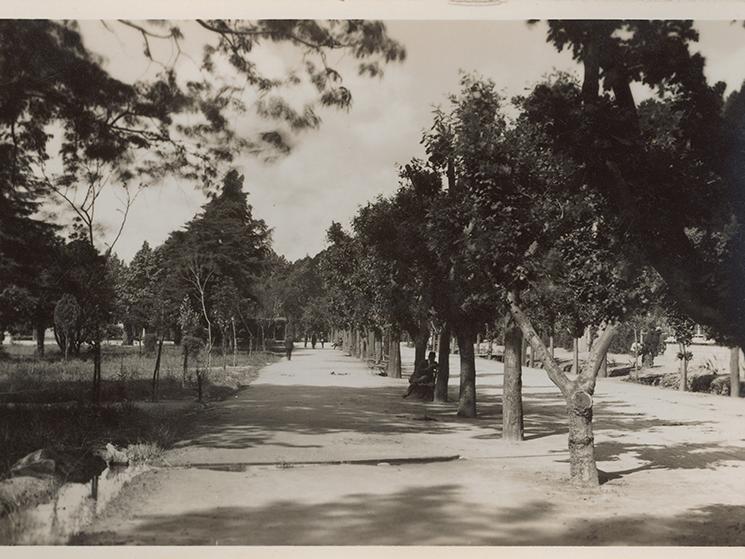 Alameda de las delicias de Concepción