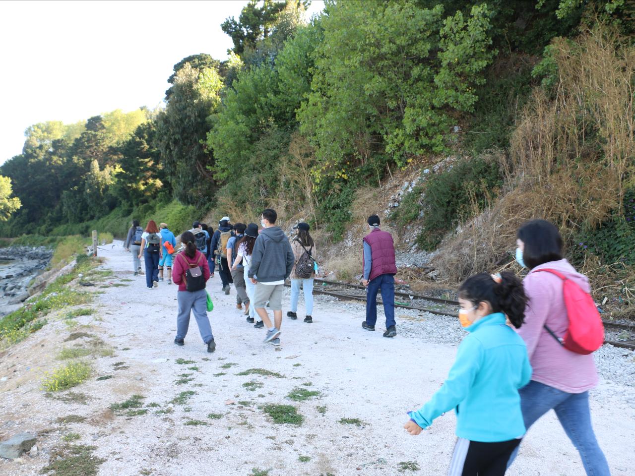 Taller "Cuando baja la marea" - de camino