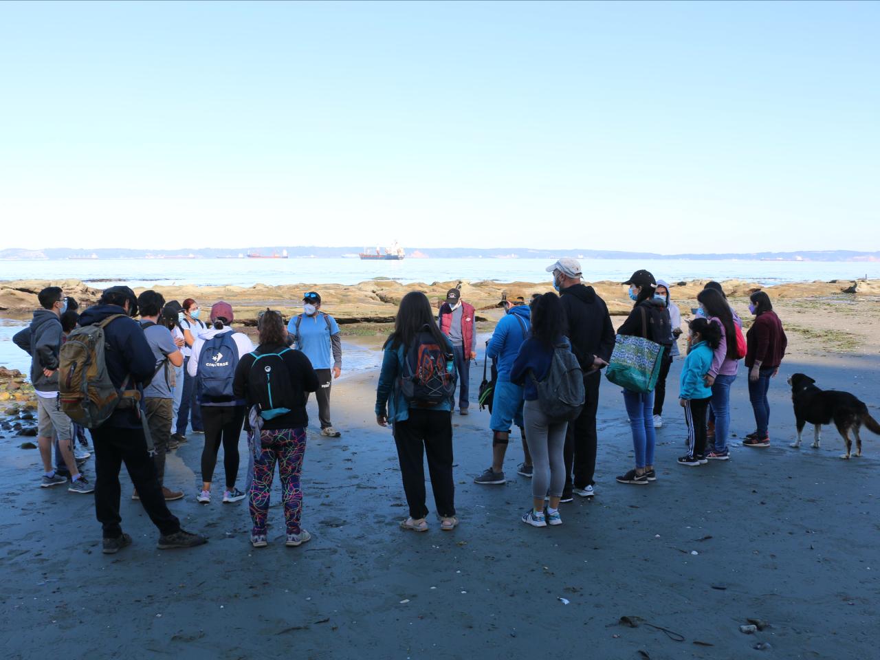 Taller "Cuando baja la marea" - charla inicial