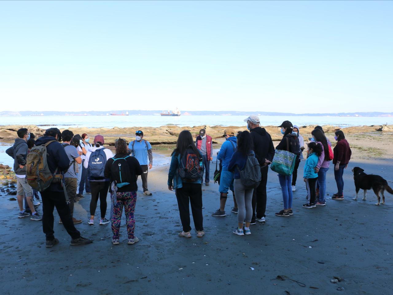 Taller &amp;quot;Cuando baja la marea&amp;quot; - charla inicial