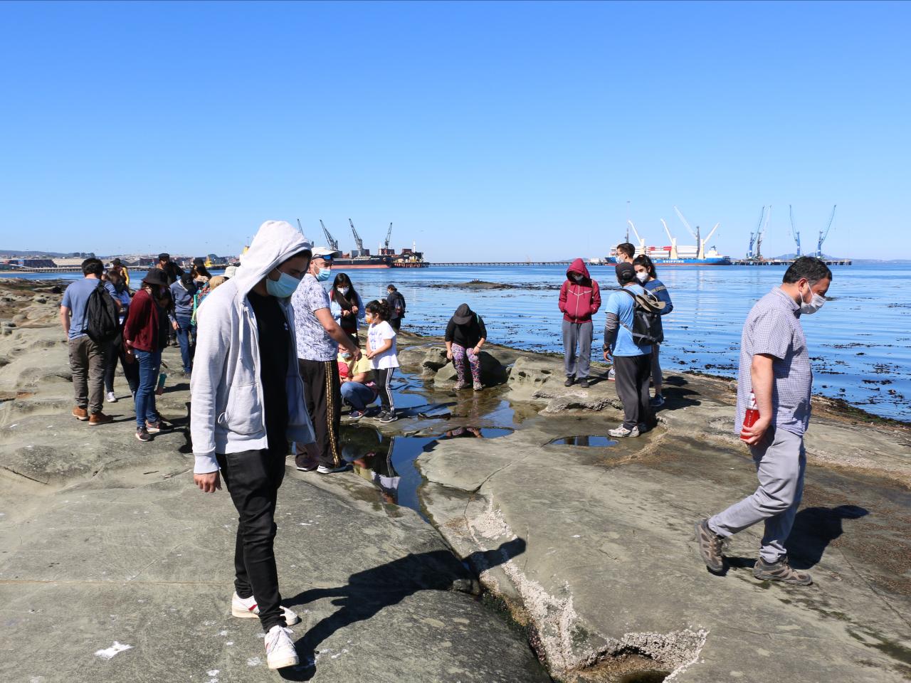 Taller "Cuando baja la marea" - observando