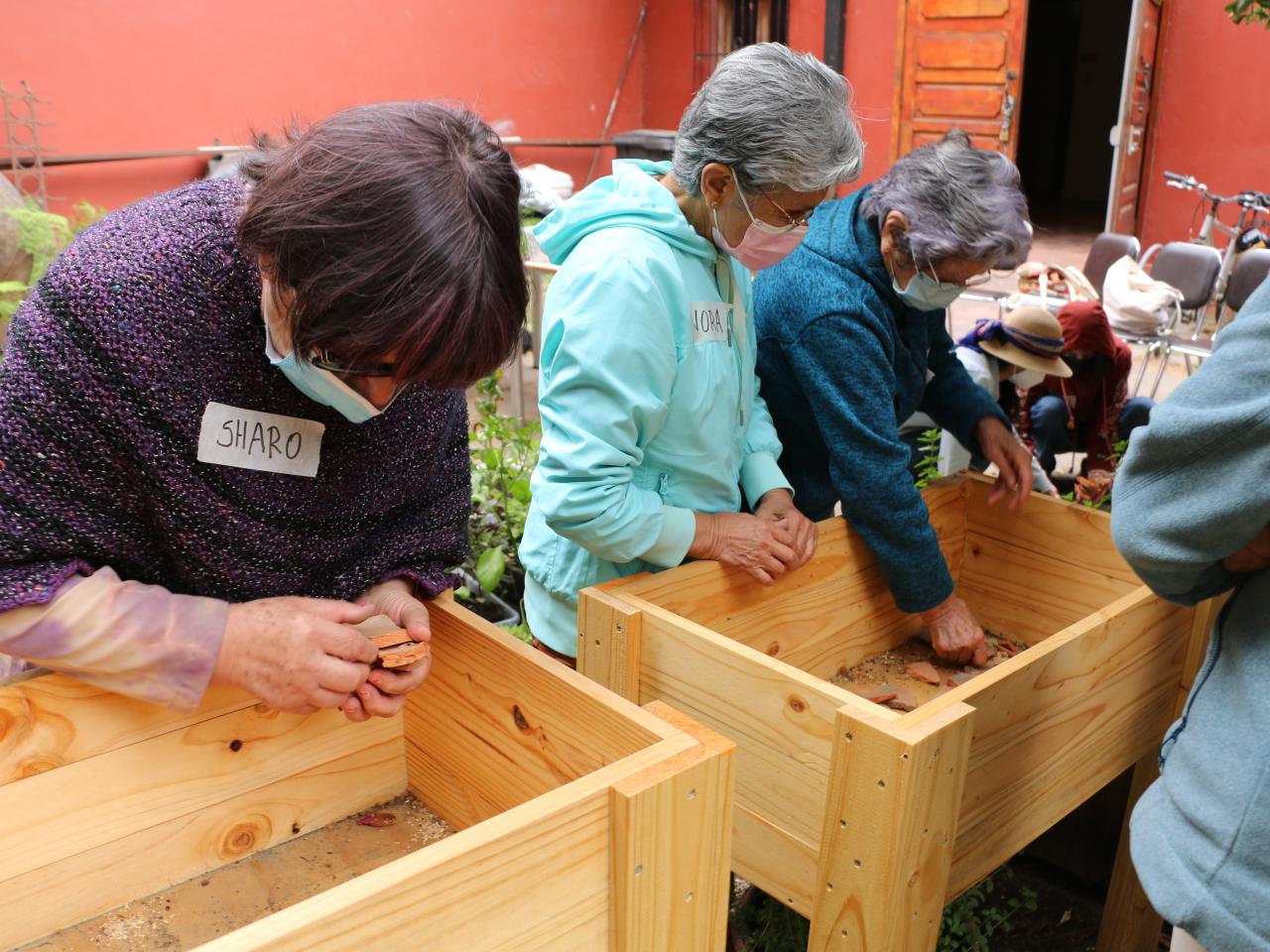 Taller "Huerta urbana"