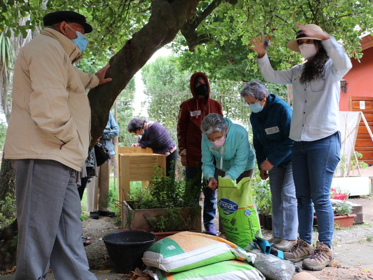 Taller &amp;quot;Huerta urbana&amp;quot;