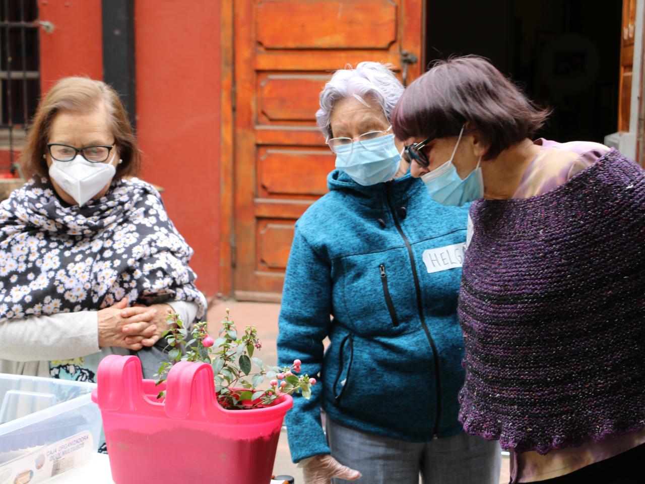 Taller &amp;quot;Huerta urbana&amp;quot;