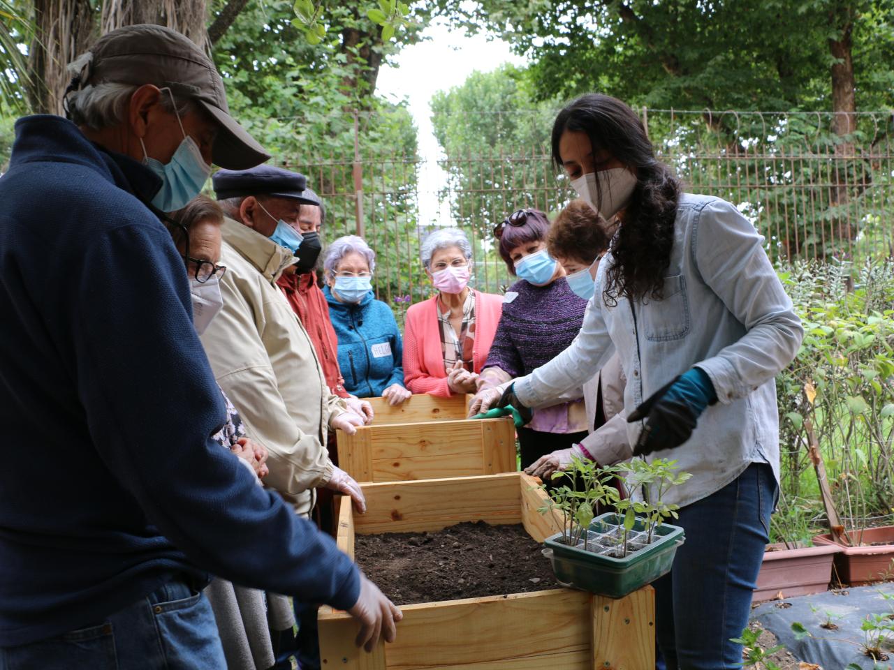 Taller &amp;quot;Huerta urbana&amp;quot;