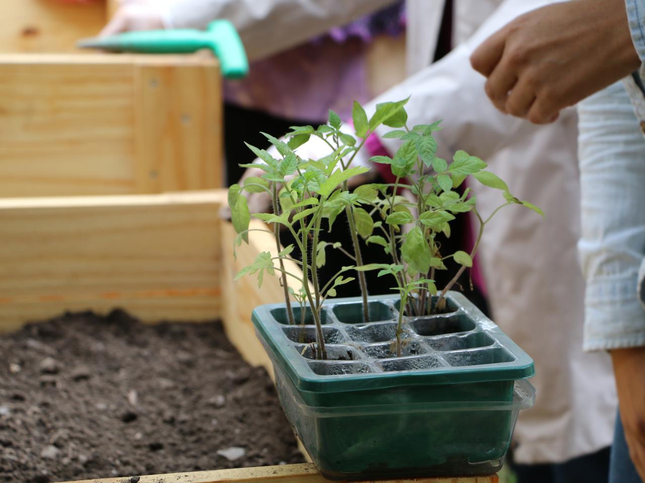 Taller &amp;quot;Huerta urbana&amp;quot;