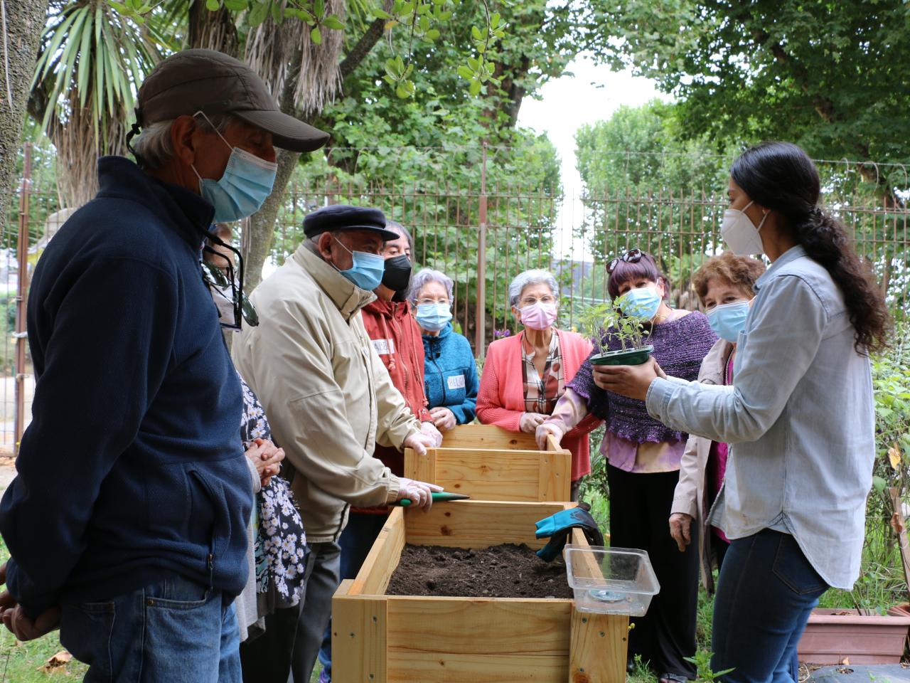 Taller &amp;quot;Huerta urbana&amp;quot;