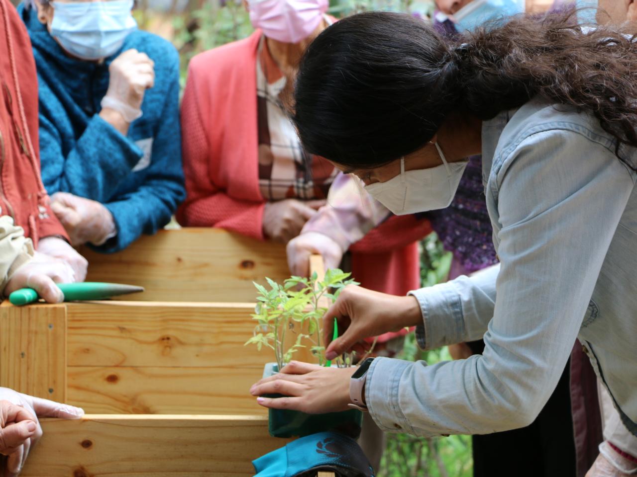 Taller &amp;quot;Huerta urbana&amp;quot;