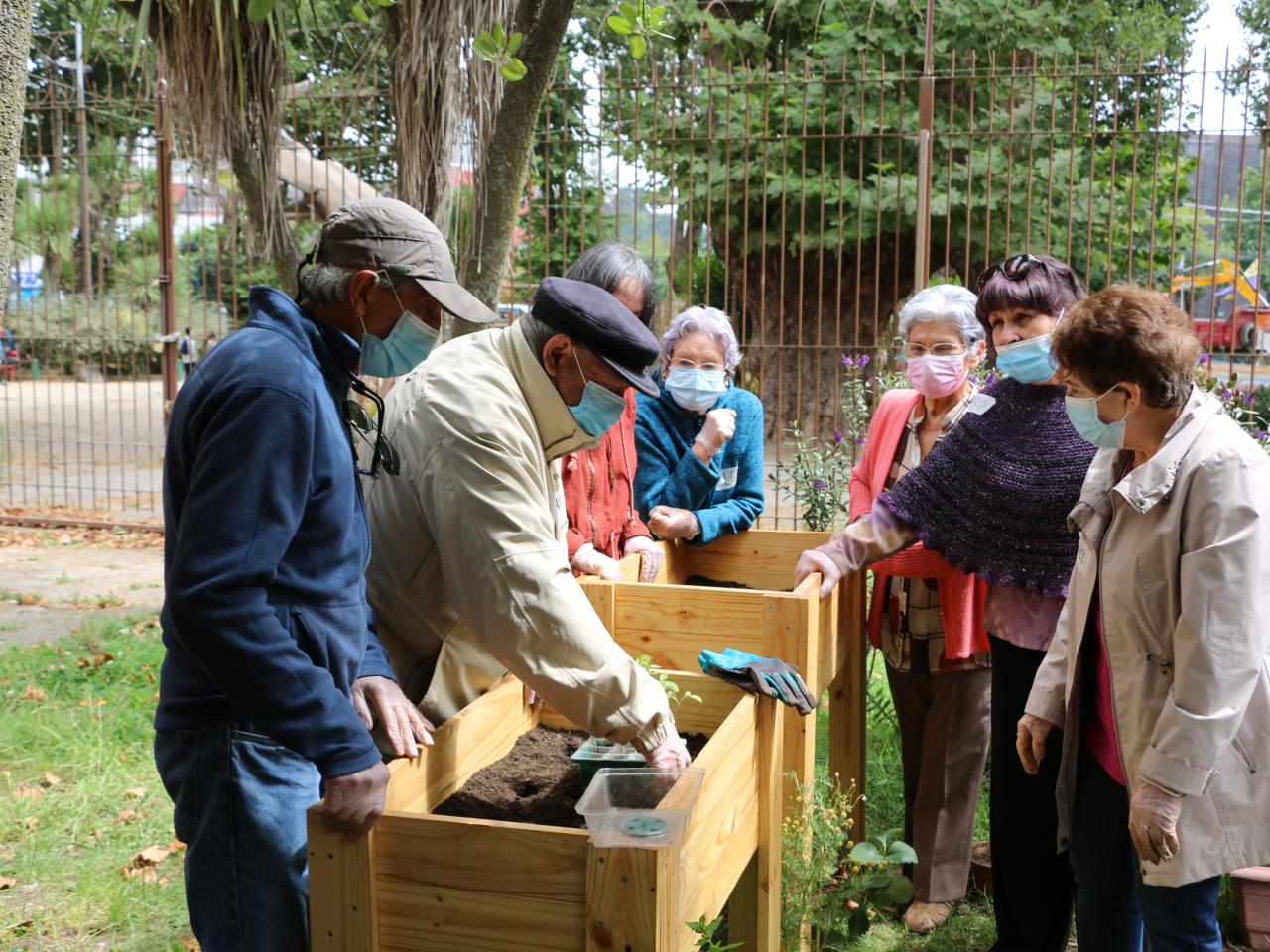 Taller &amp;quot;Huerta urbana&amp;quot;