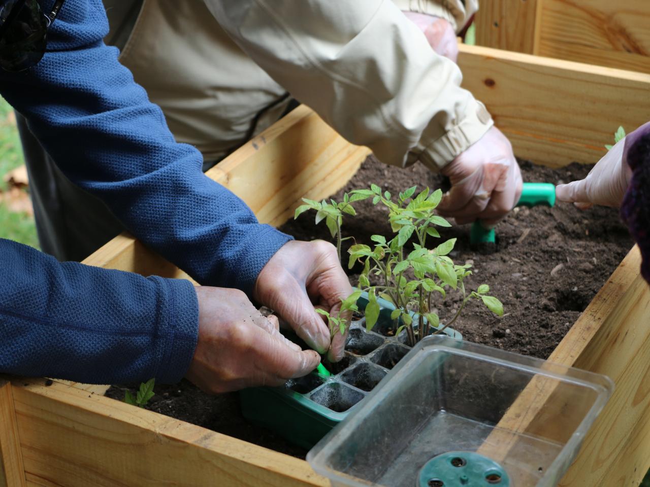 Taller &amp;quot;Huerta urbana&amp;quot;