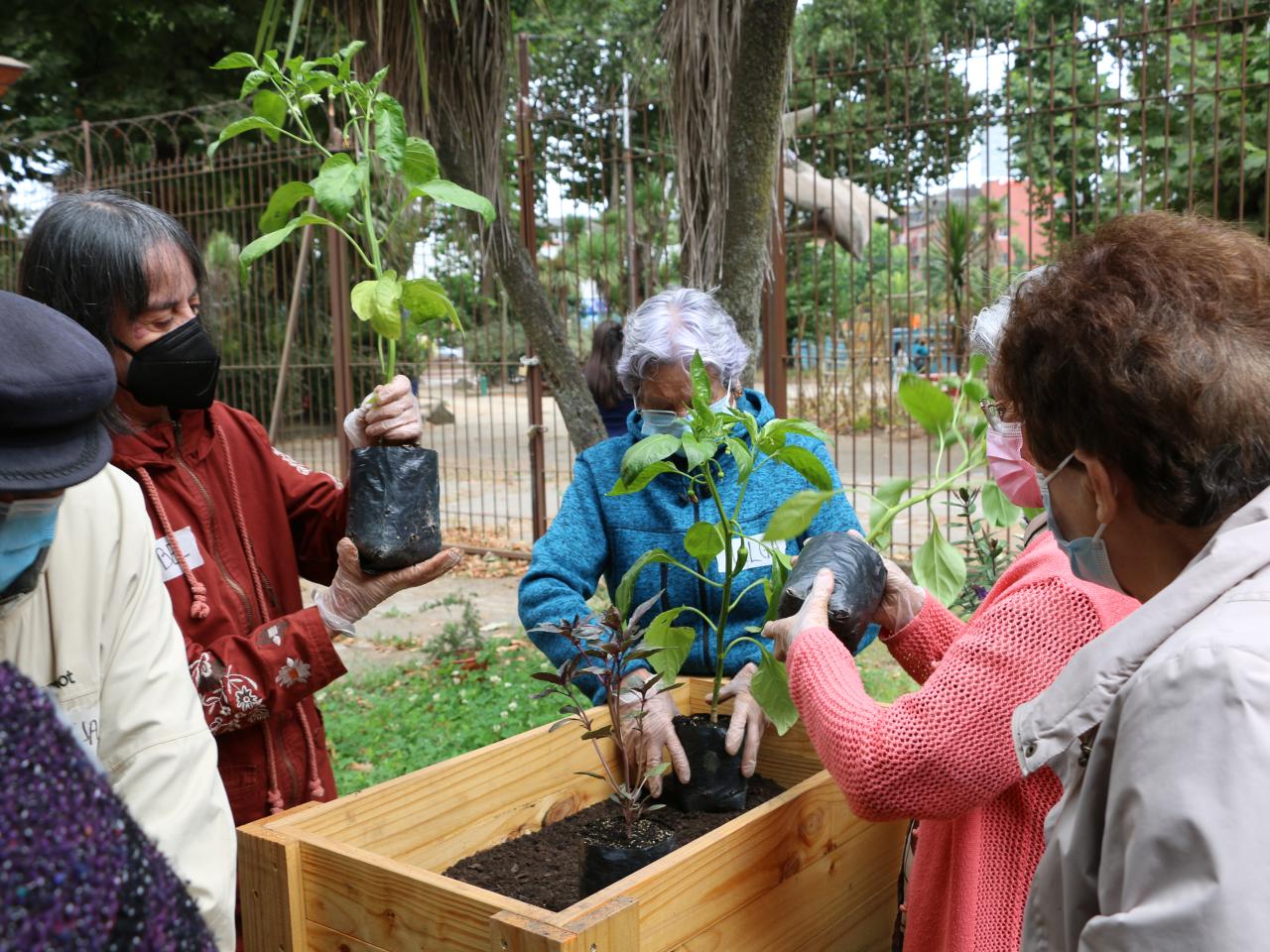 Taller &amp;quot;Huerta urbana&amp;quot;