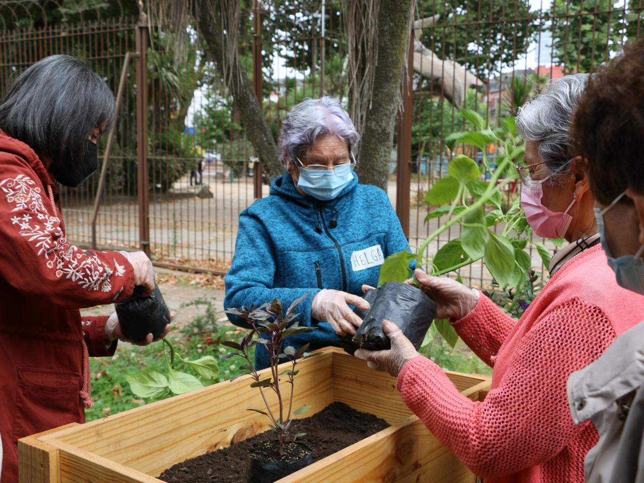 Taller &amp;quot;Huerta urbana&amp;quot;