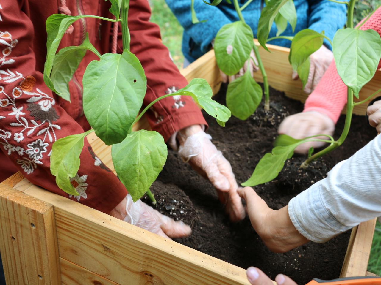 Taller &amp;quot;Huerta urbana&amp;quot;