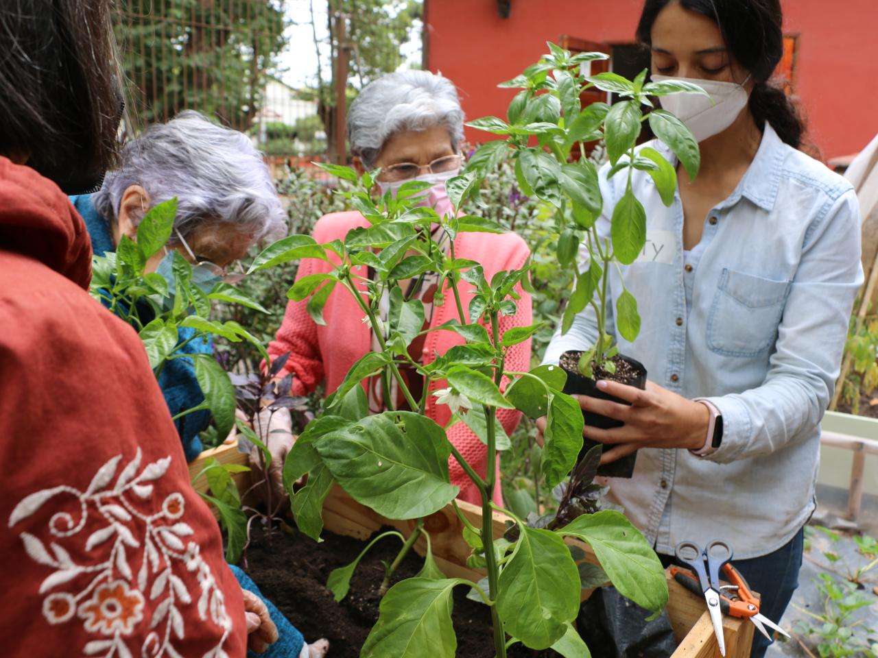 Taller &amp;quot;Huerta urbana&amp;quot;