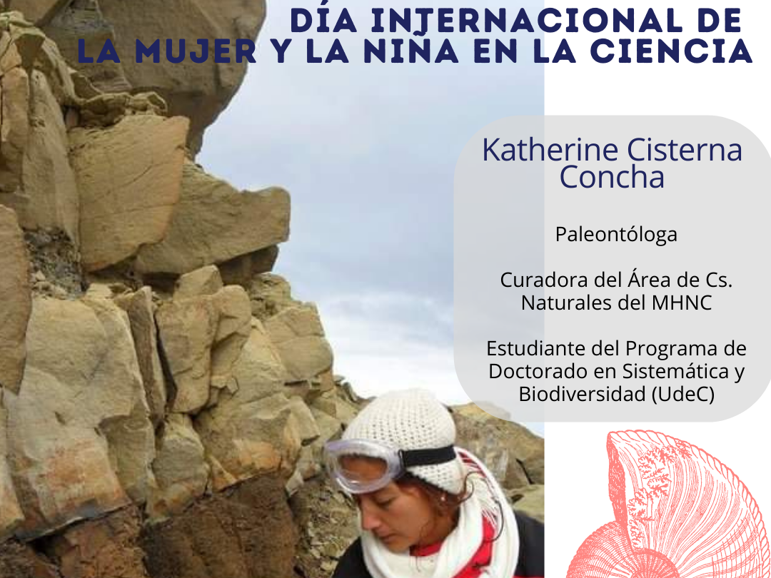 Katherine Cisterna Concha, paleontóloga y curadora de las colecciones de Ciencias Naturales del Museo de Historia Natural de Concepción