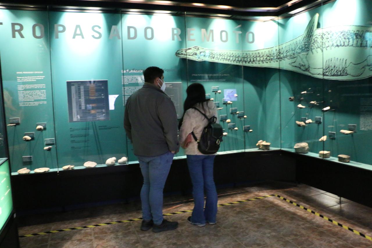 Día de los Patrimonios 2022 en el Museo
