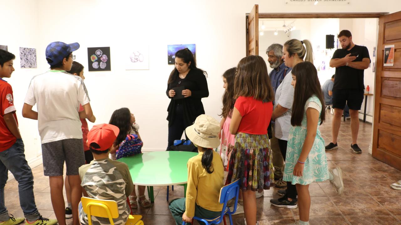 Charla y taller artístico &amp;quot;Soy el plancton, viviendo con bajo oxígeno en el mar&amp;quot;