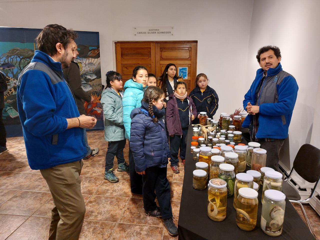 Festival del Océano en el Museo