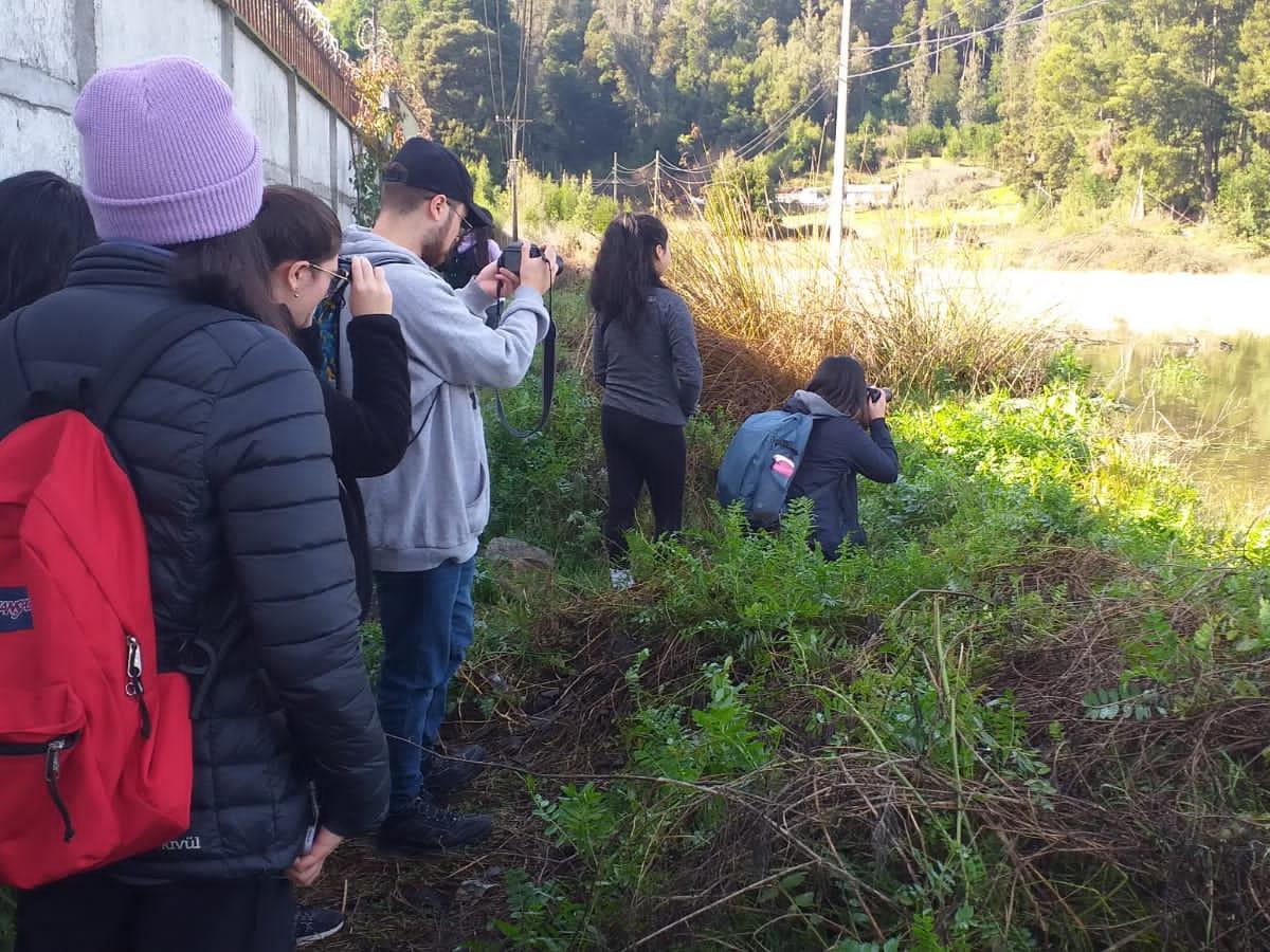 Festival de Aves de Concepción - Terreno